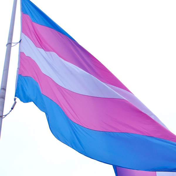 Trans gender flag